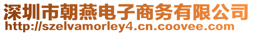 深圳市朝燕電子商務有限公司