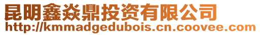 昆明鑫焱鼎投資有限公司