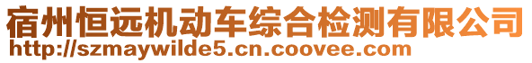 宿州恒遠(yuǎn)機(jī)動(dòng)車綜合檢測(cè)有限公司
