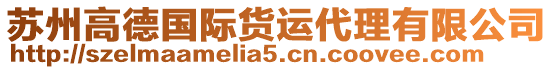 蘇州高德國際貨運(yùn)代理有限公司