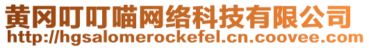 黃岡叮叮喵網絡科技有限公司