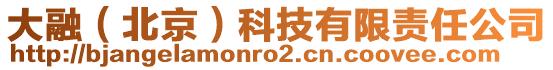 大融（北京）科技有限責(zé)任公司