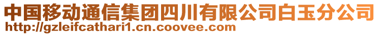 中國移動通信集團四川有限公司白玉分公司