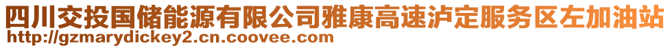 四川交投國儲能源有限公司雅康高速瀘定服務區(qū)左加油站