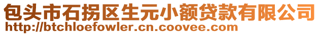 包頭市石拐區(qū)生元小額貸款有限公司