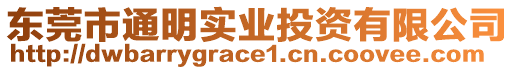 東莞市通明實(shí)業(yè)投資有限公司