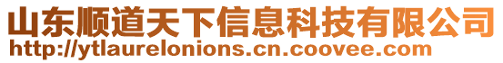 山東順道天下信息科技有限公司