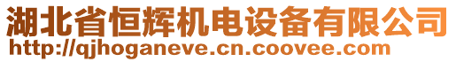 湖北省恒輝機電設備有限公司