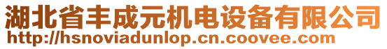 湖北省豐成元機(jī)電設(shè)備有限公司