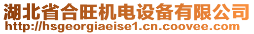 湖北省合旺機(jī)電設(shè)備有限公司