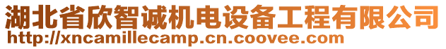 湖北省欣智誠機(jī)電設(shè)備工程有限公司