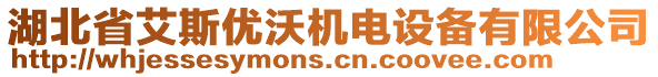 湖北省艾斯優(yōu)沃機(jī)電設(shè)備有限公司