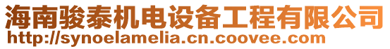 海南駿泰機(jī)電設(shè)備工程有限公司