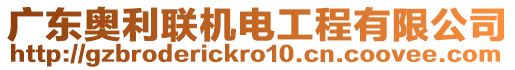 廣東奧利聯(lián)機(jī)電工程有限公司