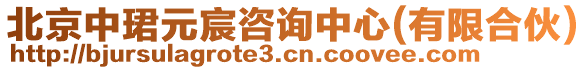 北京中珺元宸咨詢中心(有限合伙)