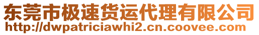 東莞市極速貨運(yùn)代理有限公司