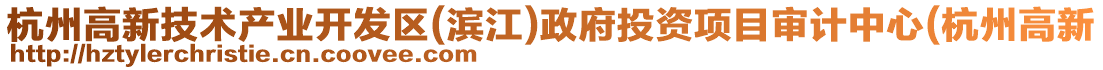 杭州高新技術(shù)產(chǎn)業(yè)開(kāi)發(fā)區(qū)(濱江)政府投資項(xiàng)目審計(jì)中心(杭州高新