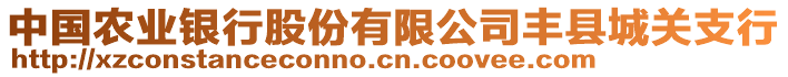 中國(guó)農(nóng)業(yè)銀行股份有限公司豐縣城關(guān)支行