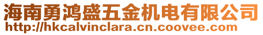 海南勇鴻盛五金機(jī)電有限公司