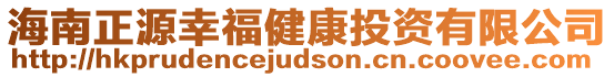 海南正源幸福健康投資有限公司