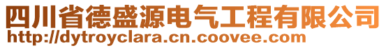 四川省德盛源電氣工程有限公司