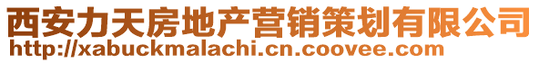 西安力天房地產(chǎn)營銷策劃有限公司