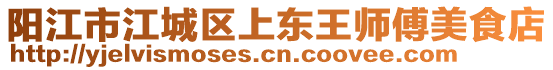 陽江市江城區(qū)上東王師傅美食店