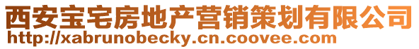 西安宝宅房地产营销策划有限公司