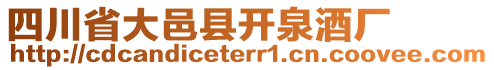 四川省大邑縣開泉酒廠