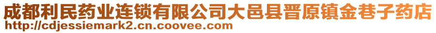 成都利民藥業(yè)連鎖有限公司大邑縣晉原鎮(zhèn)金巷子藥店