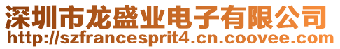 深圳市龍盛業(yè)電子有限公司