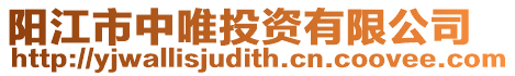 陽江市中唯投資有限公司