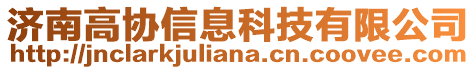 濟南高協(xié)信息科技有限公司