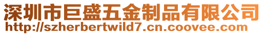 深圳市巨盛五金制品有限公司