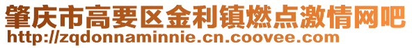 肇慶市高要區金利鎮燃點激情網吧
