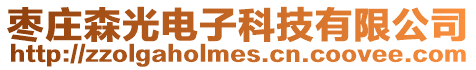 棗莊森光電子科技有限公司
