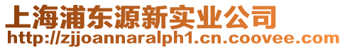 上海浦東源新實業公司