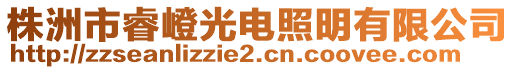 株洲市睿嶝光電照明有限公司