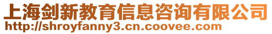 上海劍新教育信息咨詢有限公司