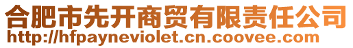 合肥市先開商貿(mào)有限責(zé)任公司