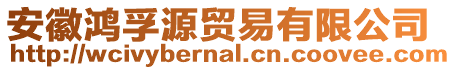 安徽鴻孚源貿易有限公司
