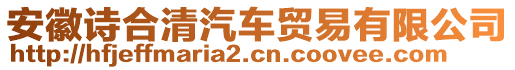 安徽詩合清汽車貿易有限公司