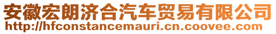 安徽宏朗濟合汽車貿(mào)易有限公司