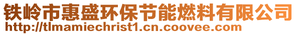 鐵嶺市惠盛環(huán)保節(jié)能燃料有限公司