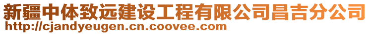 新疆中體致遠建設工程有限公司昌吉分公司