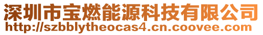 深圳市寶燃能源科技有限公司