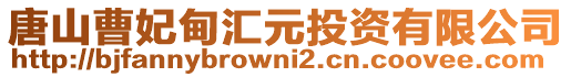 唐山曹妃甸匯元投資有限公司