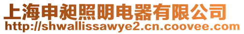 上海申昶照明電器有限公司