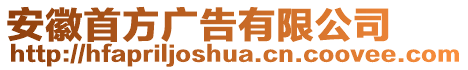 安徽首方廣告有限公司