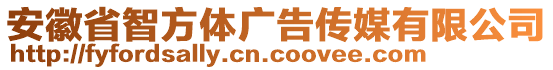 安徽省智方體廣告?zhèn)髅接邢薰? style=